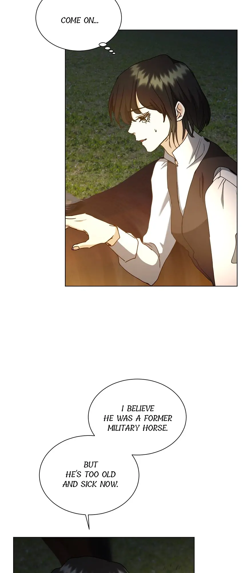 34685141 850 2000 49648